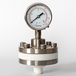 PTFE diaphgram seal pressure gauge